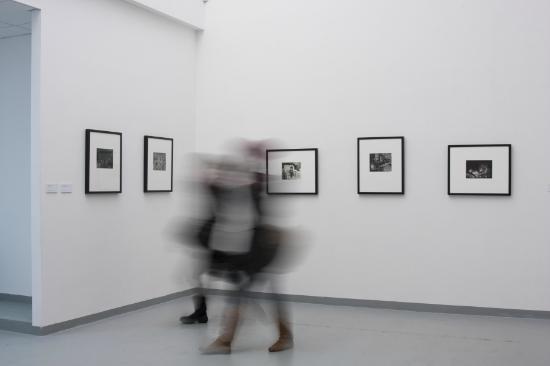 Cultura a Modena: Le regole e le idee 