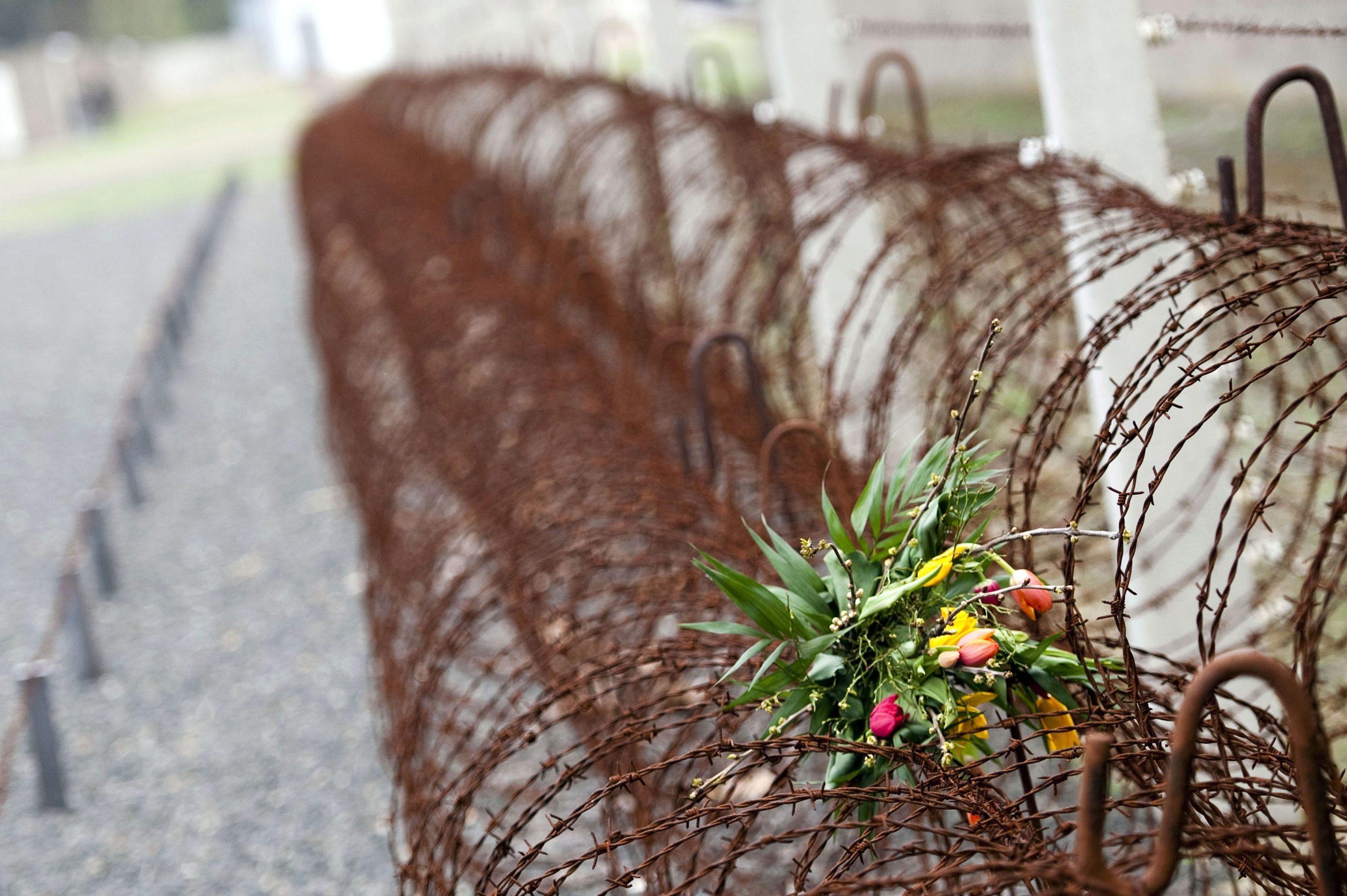 "Corri ragazzo corri”: all’Arsenale un film per non dimenticare la Shoah
