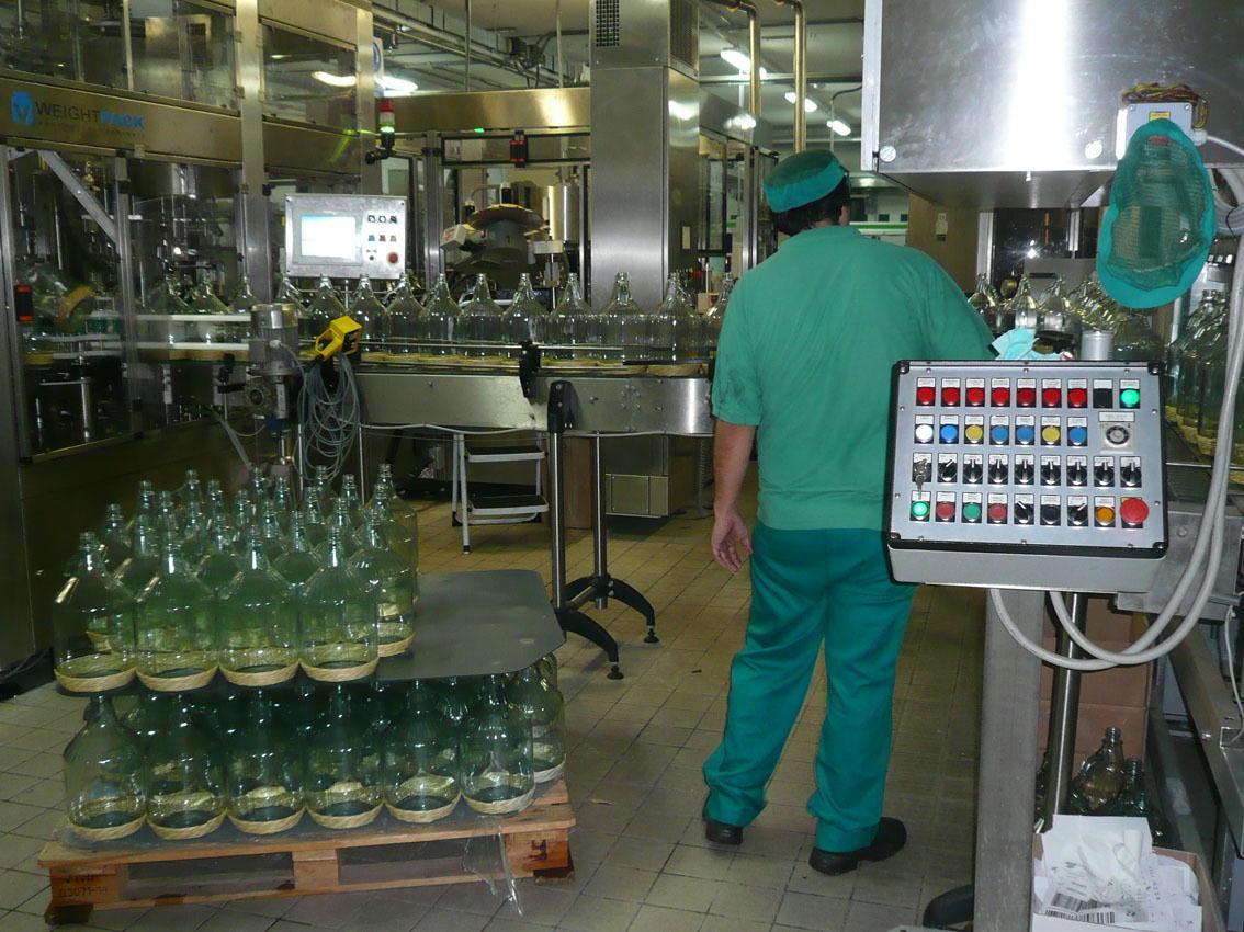 Lavorazione all'Oleificio Montalbano di Lamporecchio