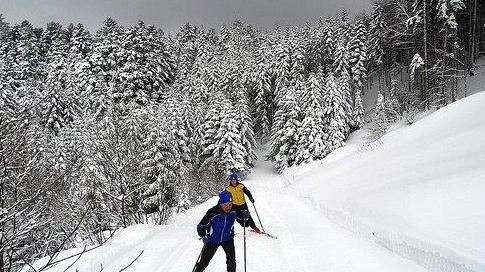 «La pista di fondo non è stata battuta»