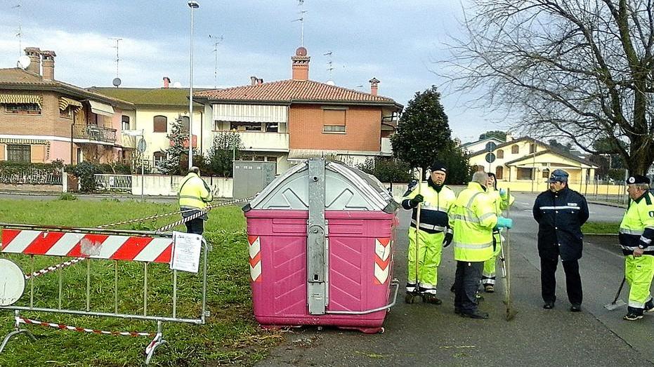 Nasce il gruppo “Giustizia ai cani”