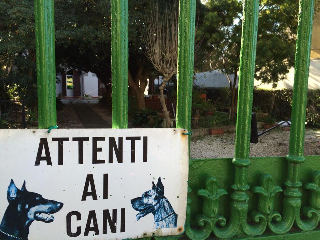 Spray urticante contro i cani per rubare nella villa 