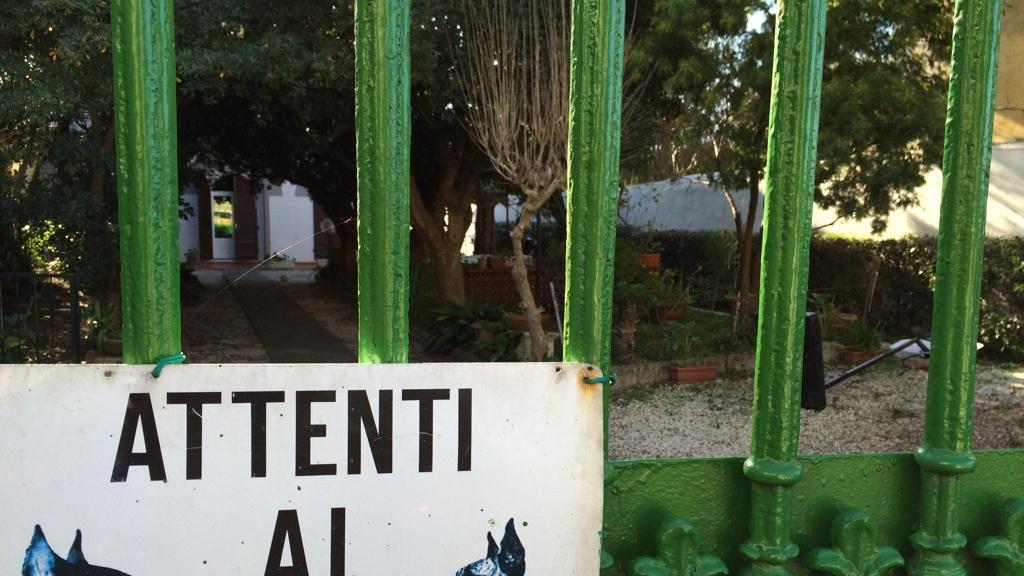 Spray urticante contro i cani per rubare nella villa