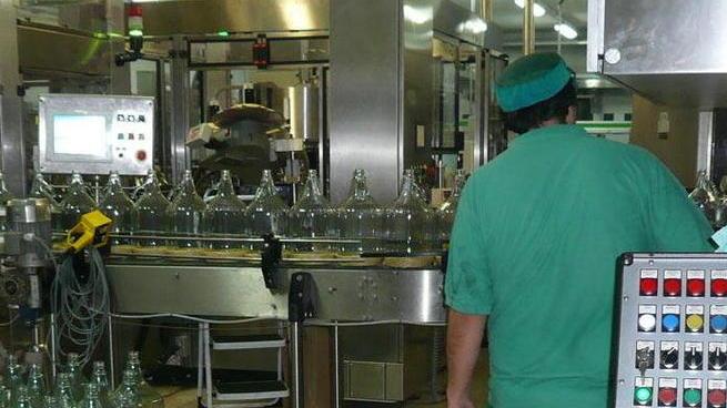 Nasce colosso del vino e dell’olio all’ombra del Montalbano