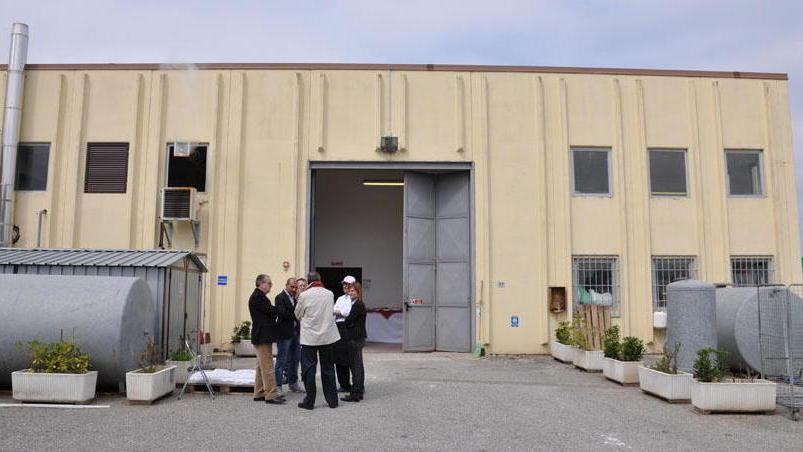 Serenissima mette radici e annuncia posti di lavoro