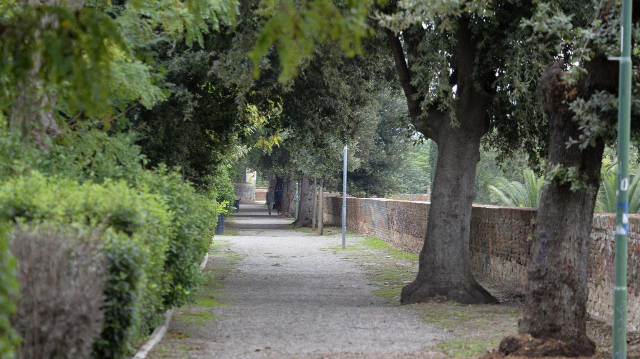 Le mura di Grosseto (foto agenzia Bf)