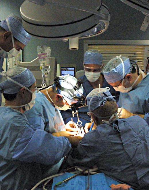 Cittadini donatori di organi: un appello e nuove opportunità 