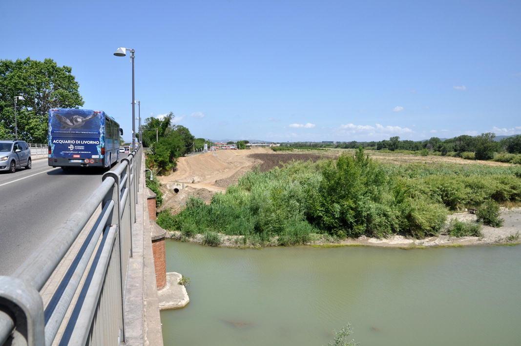 Uno scorcio dell'argine del fiume Cecina