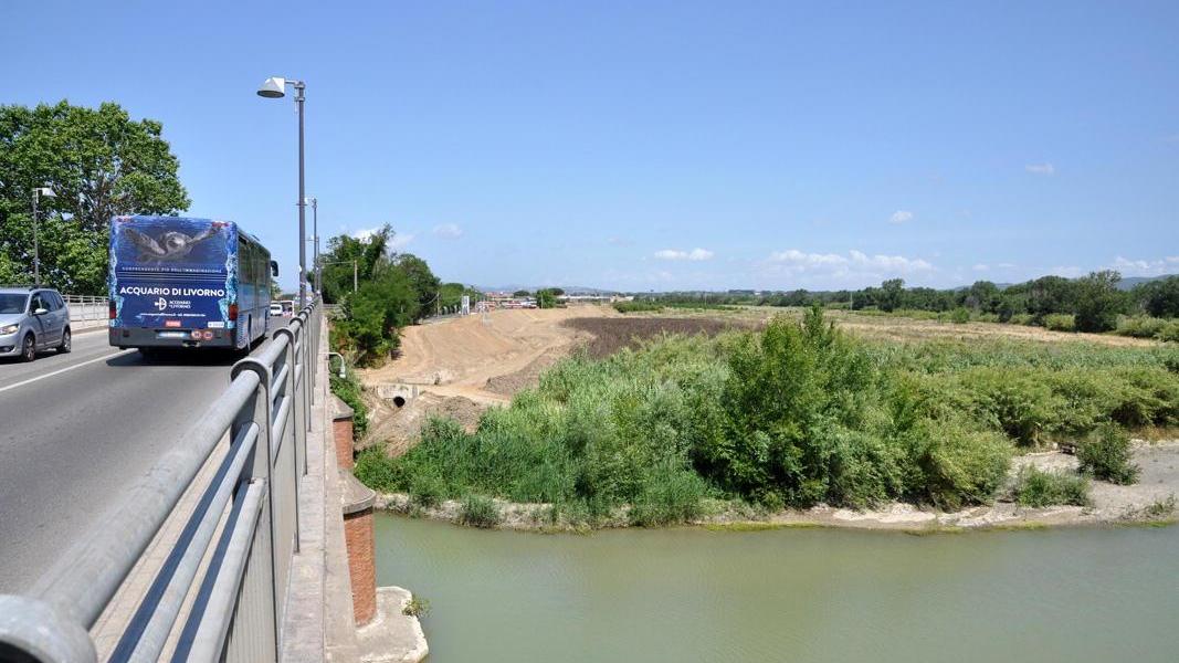 Uno scorcio dell'argine del fiume Cecina