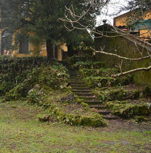 A buon punto a Villa Ada il recupero del parco