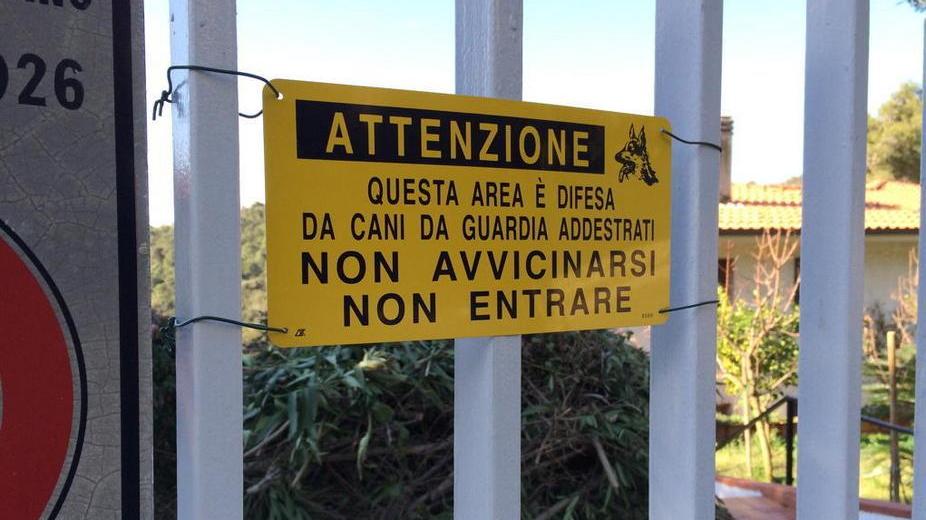Spray urticante contro i cani per rubare