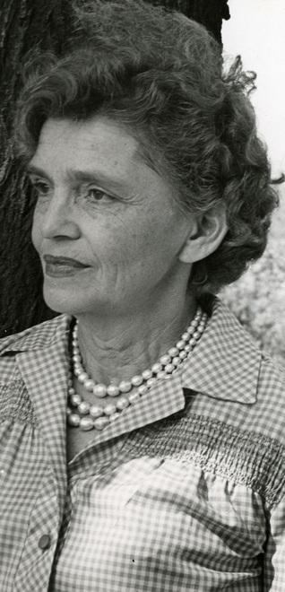 Violini legge testo di Taylor 