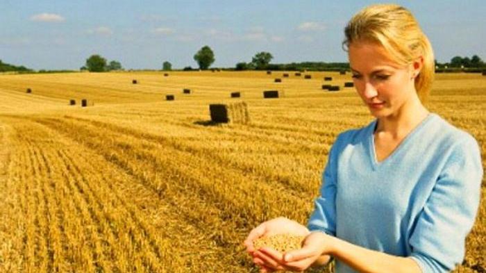 I lavori agricoli stanno attirando sempre più giovani