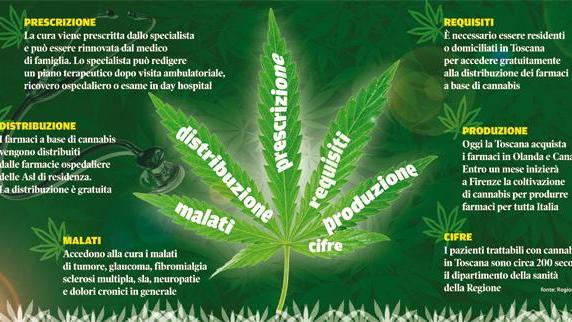 Rivoluzione cannabis: potrà essere prescritta anche dai medici di famiglia