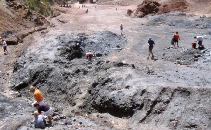 Il cantiere del Bacino nel Parco minerario di Rio