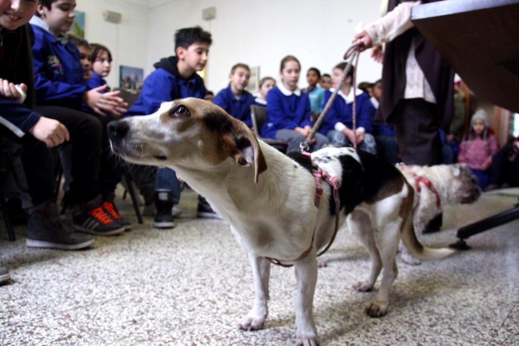 Uno dei cagnolini disabili con gli scolari delle Micheli
