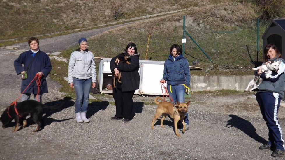 Impennata di adozioni, il canile si svuota
