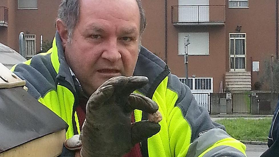 “Giustizia ai cani” Comune e volontari a confronto