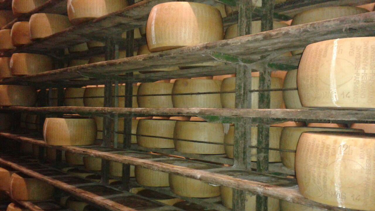 Rubate 200 forme di Parmigiano Reggiano