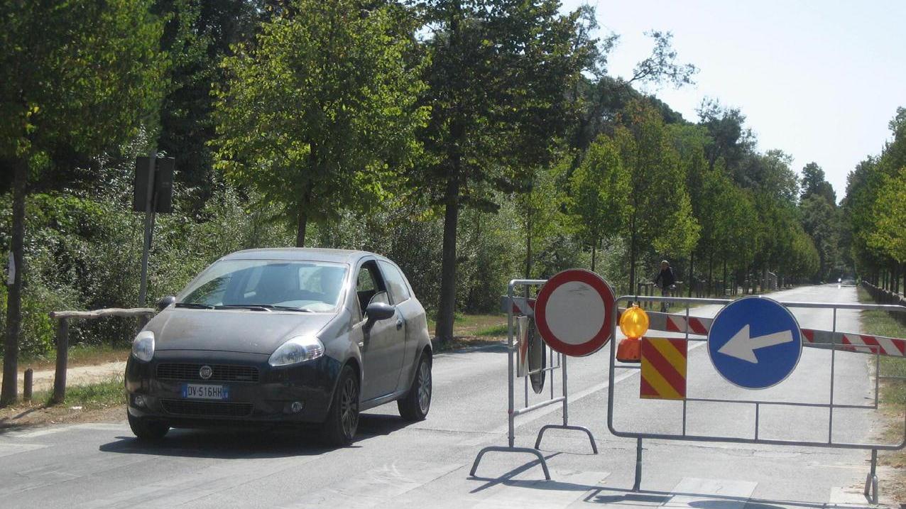 Il viale dei Tigli a Viareggio chiuso a causa dell'allerta meteo