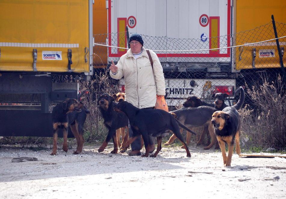 «I cani erano fissi nel piazzale, usati per fare la guardia» 