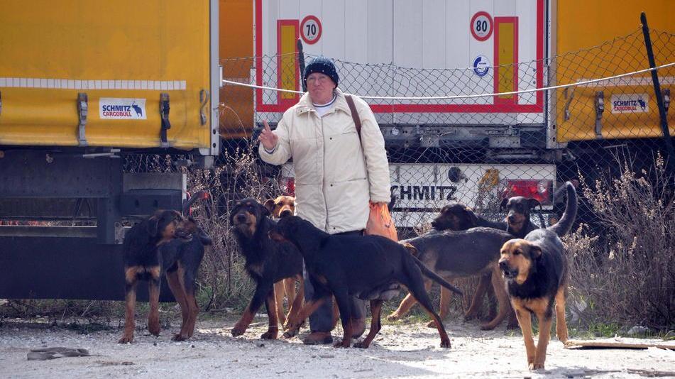 «I cani erano fissi nel piazzale, usati per fare la guardia»