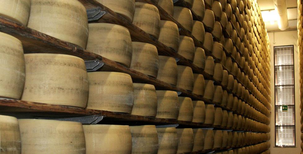 Reggiano, produzione in leggera crescita 