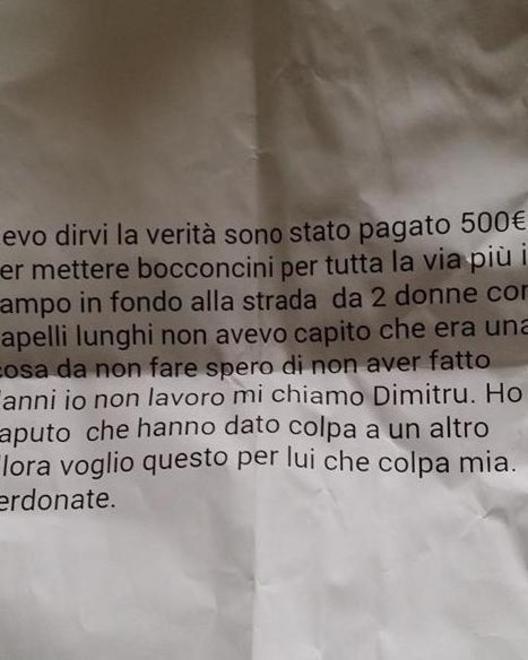 Il cane avvelenato dalle polpette 