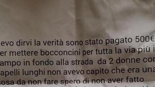 Il cane avvelenato dalle polpette