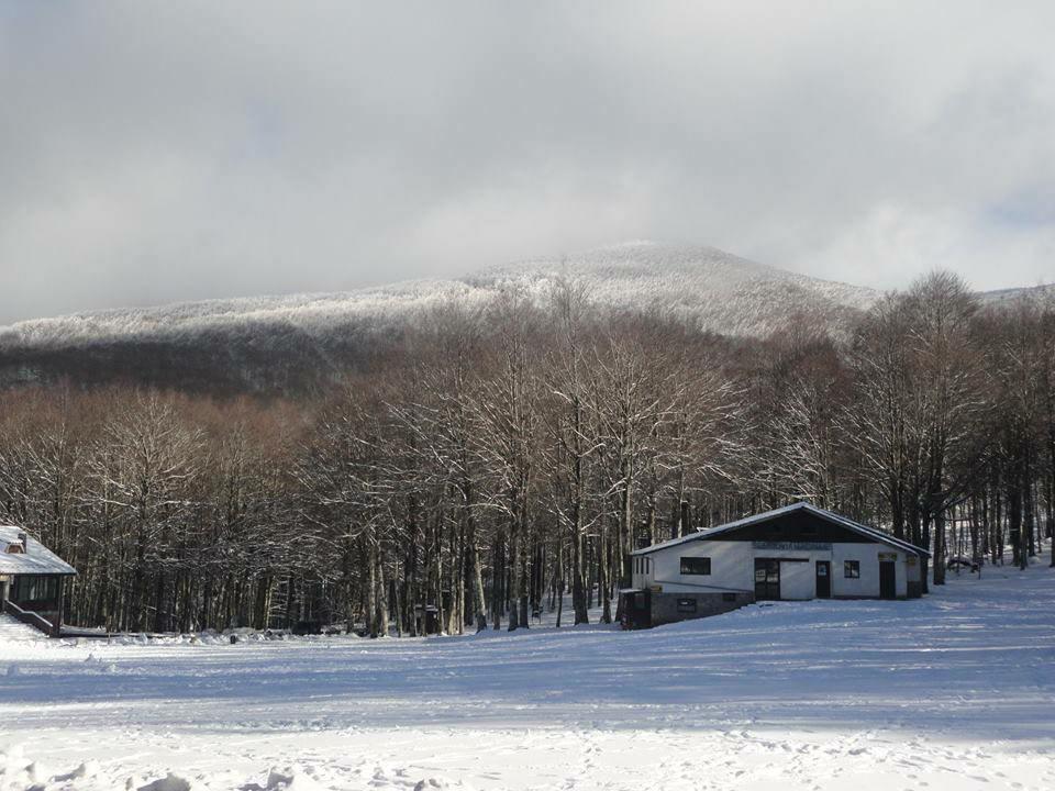 Le Macinaie sul Monte Amiata
