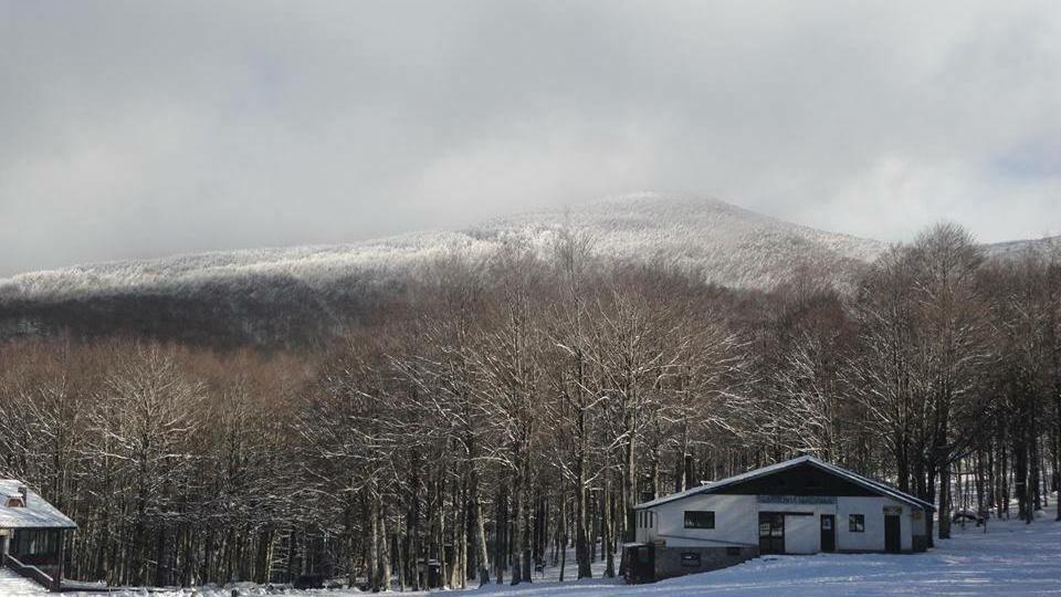 Le Macinaie sul Monte Amiata