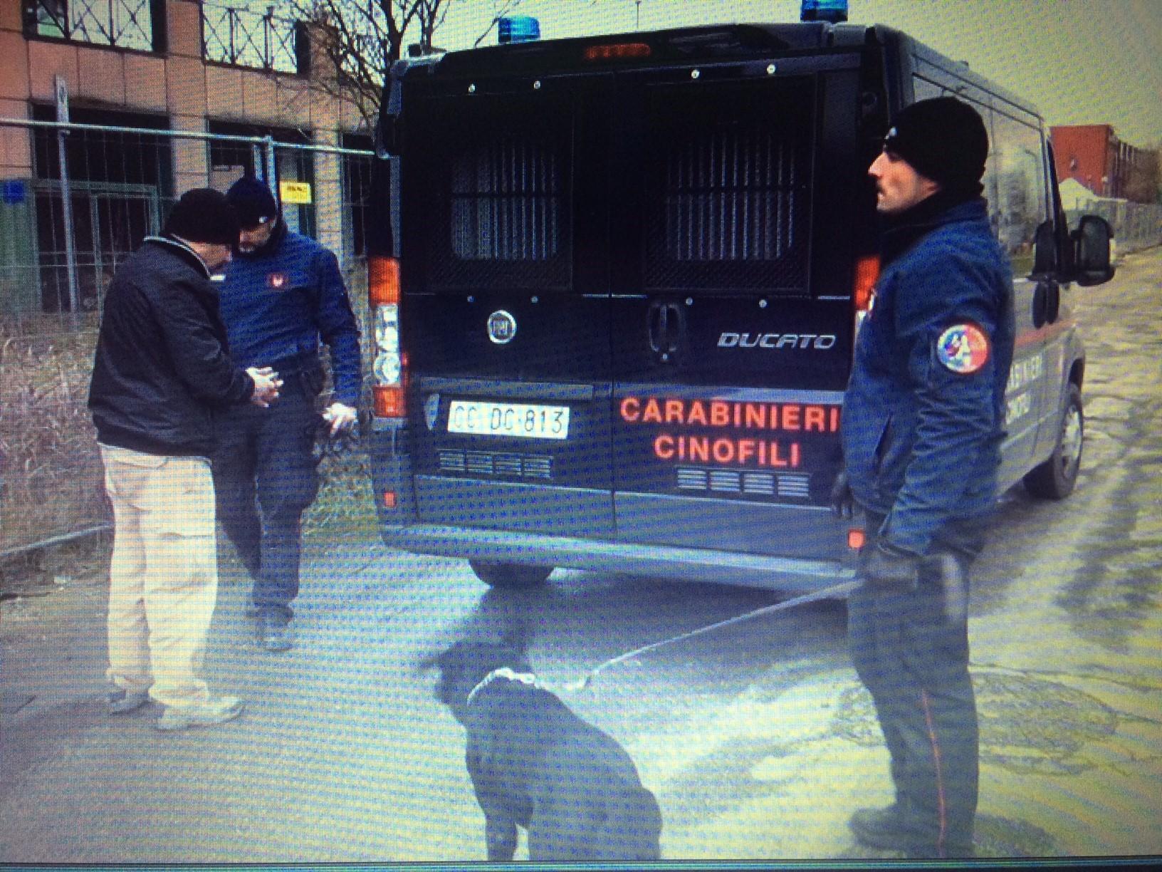 Il blitz con i cani antidroga per bonificare il PalaSpecchi