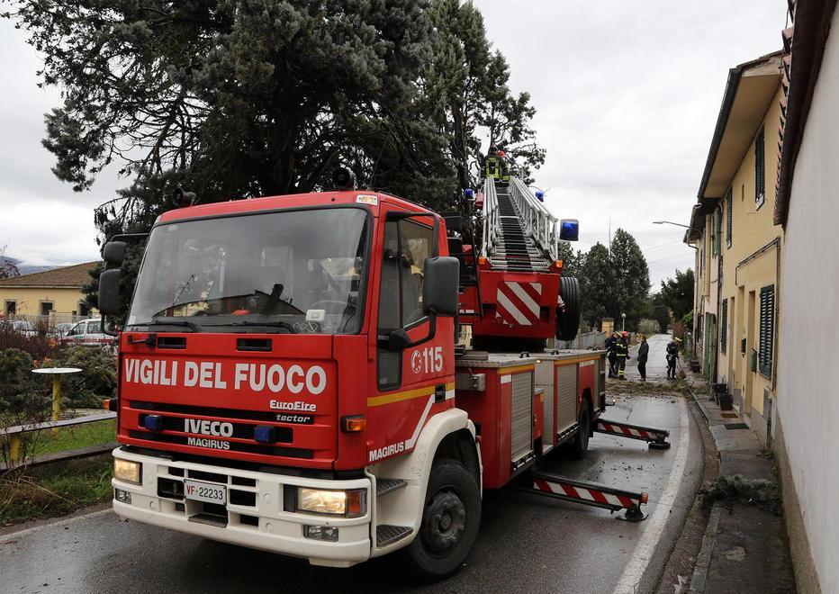 Albero si schianta su una casa intervengono i vigili del fuoco