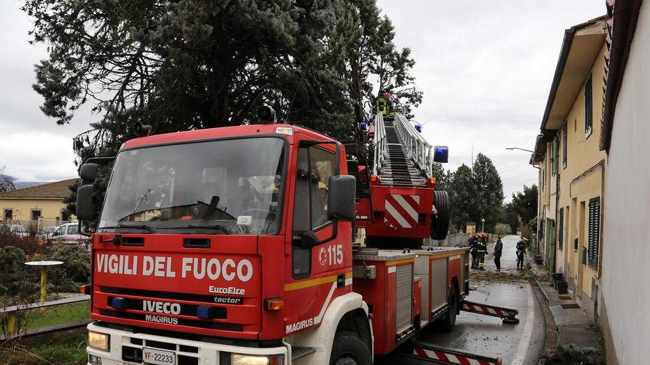 Albero si schianta su una casa intervengono i vigili del fuoco