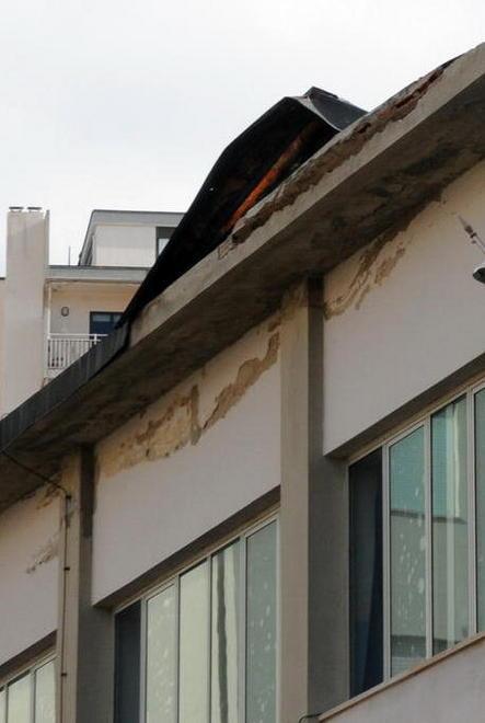 Mezz’ora di caos: piante abbattute e traffico interrotto
