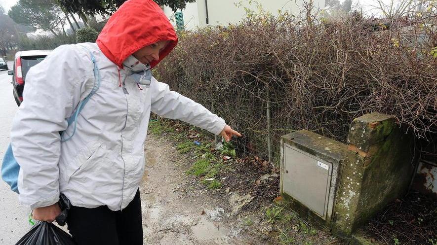 Perdita d’acqua da un anno decine di segnalazioni ignorate