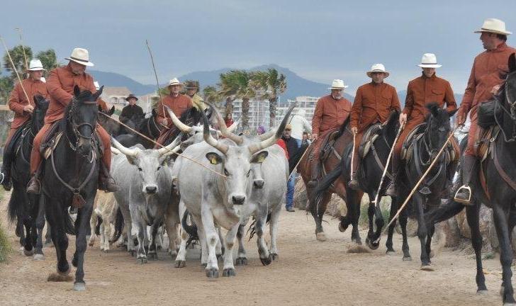 Luca Ficai e il centro La Bandita al galà Crinier d’Or di Avignone