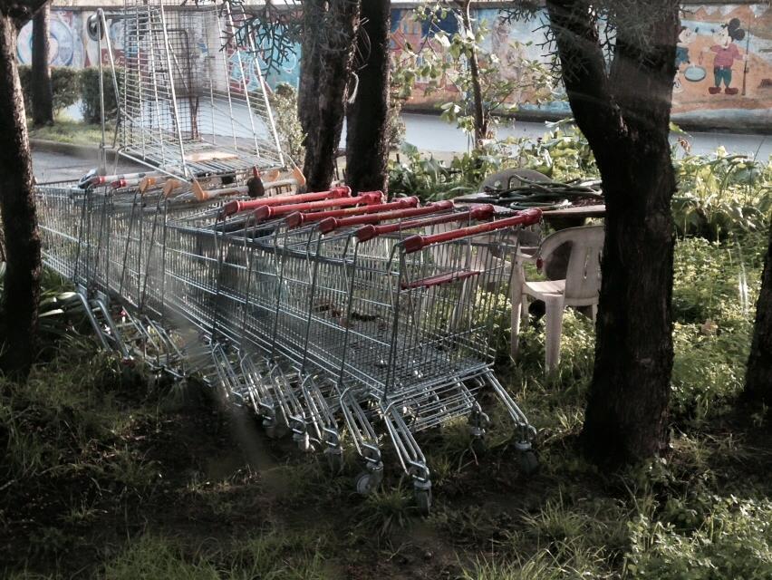 I carrelli della spesa nel parco del Poggetto