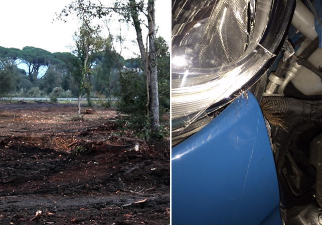 La zona dove è avvenuto l'incidente e il dettaglio dell'auto danneggiata con le tracce della pelliccia dell'animale