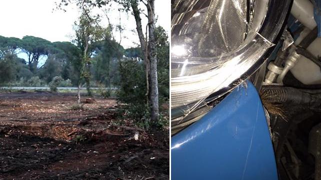 La zona dove è avvenuto l'incidente e il dettaglio dell'auto danneggiata con le tracce della pelliccia dell'animale
