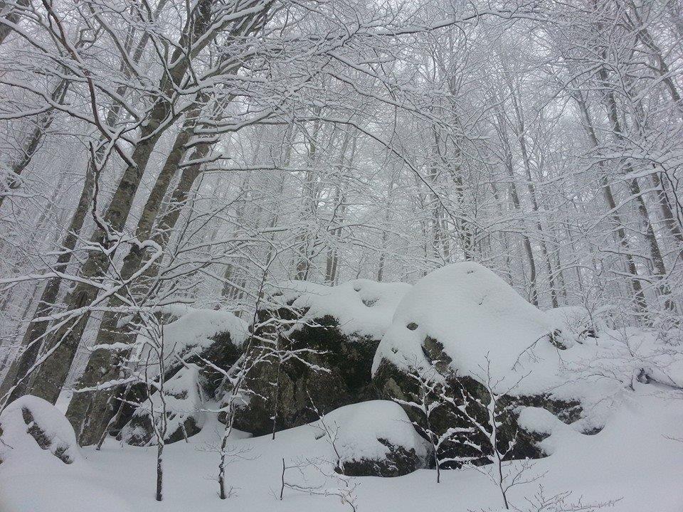 Ancora neve in arrivo in particolare all'Amiata