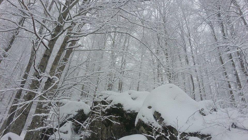 Ancora neve in arrivo in particolare all'Amiata