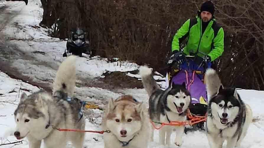 Scattata da Febbio la sfida di sleddog “Balla coi lupi”