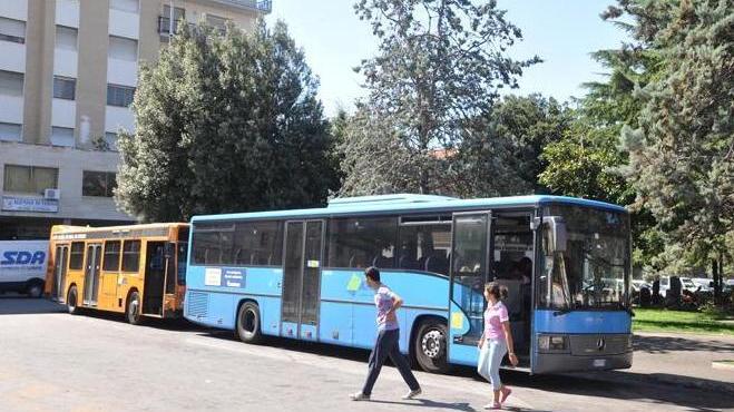 Litigio a bordo del bus tra passeggero e autista