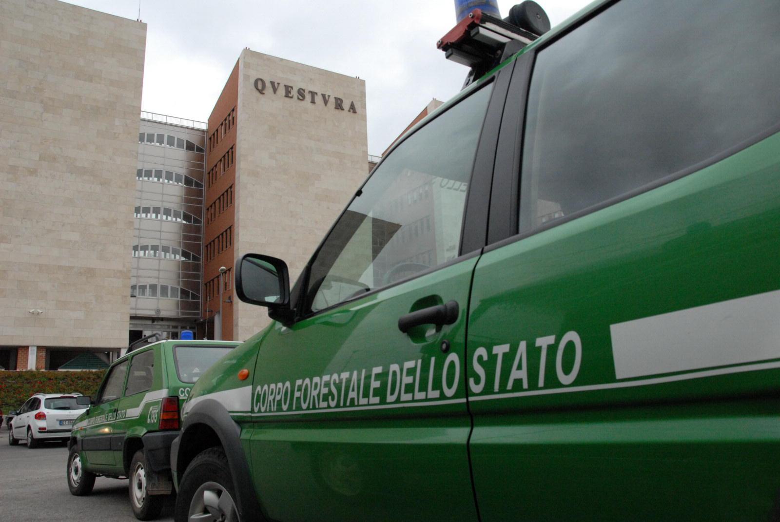 Ambiente e agroalimentare: multe per mezzo milione di euro in Maremma