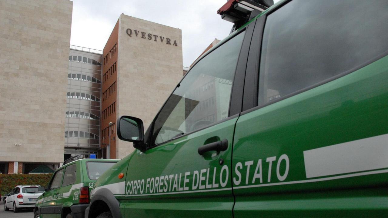 Ambiente e agroalimentare: multe per mezzo milione di euro in Maremma