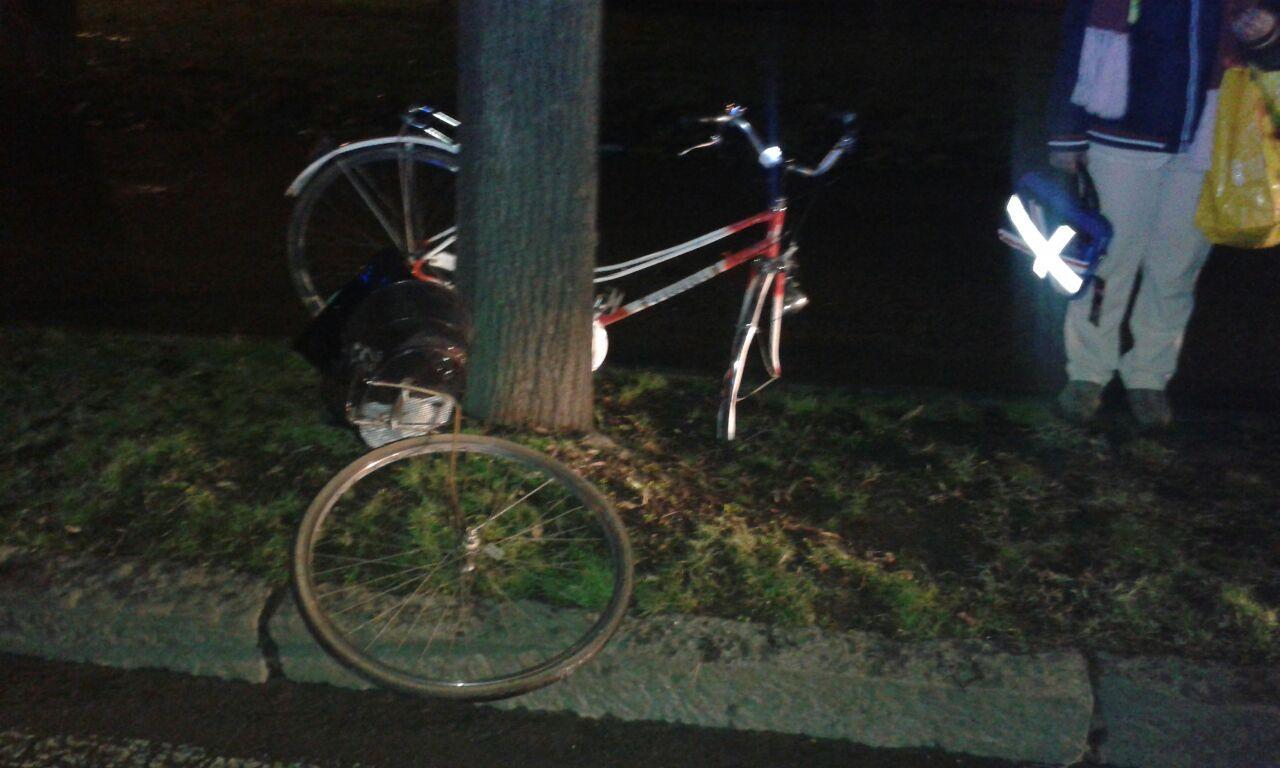 Investita in bicicletta in viale Umberto I, è grave