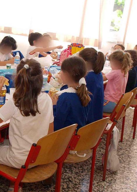 Una mosca nel cibo della mensa a scuola 