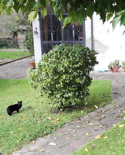 Giallo di Querce, sigilli anche alla villa di Marinella Bertozzi 