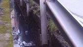 Il canale è sporco, se piove forte le case vicine si allagano